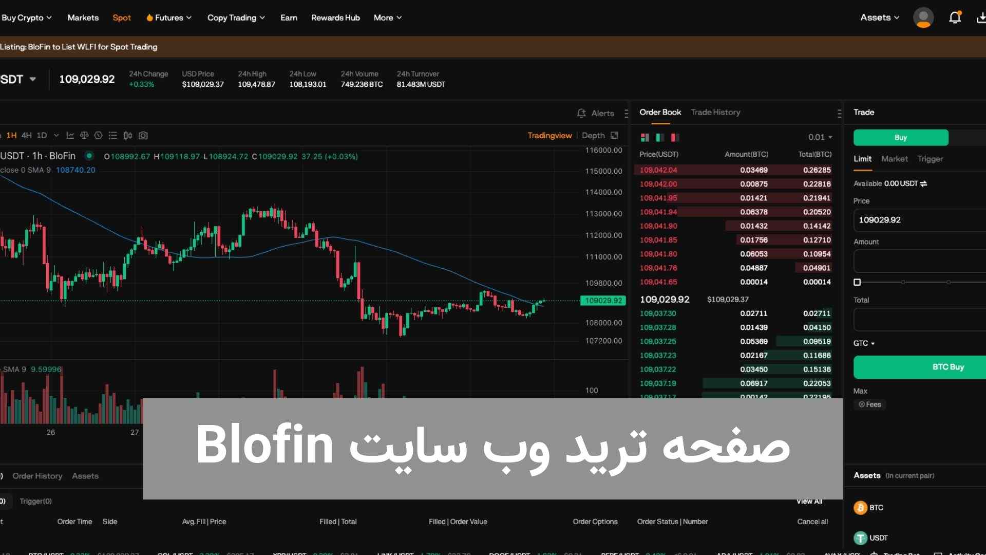 صفحه ترید وب سایت Blofin (1)